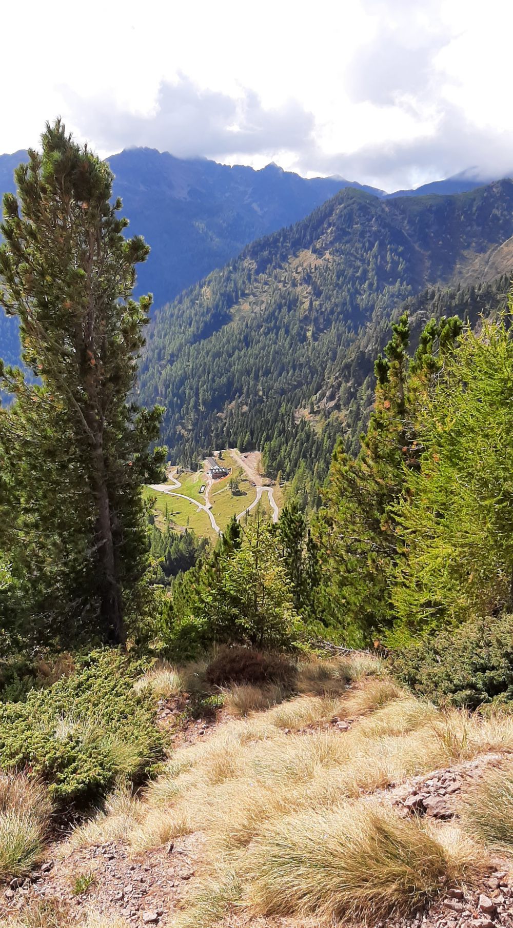 Reiservaring van reiziger Trentino carrousel