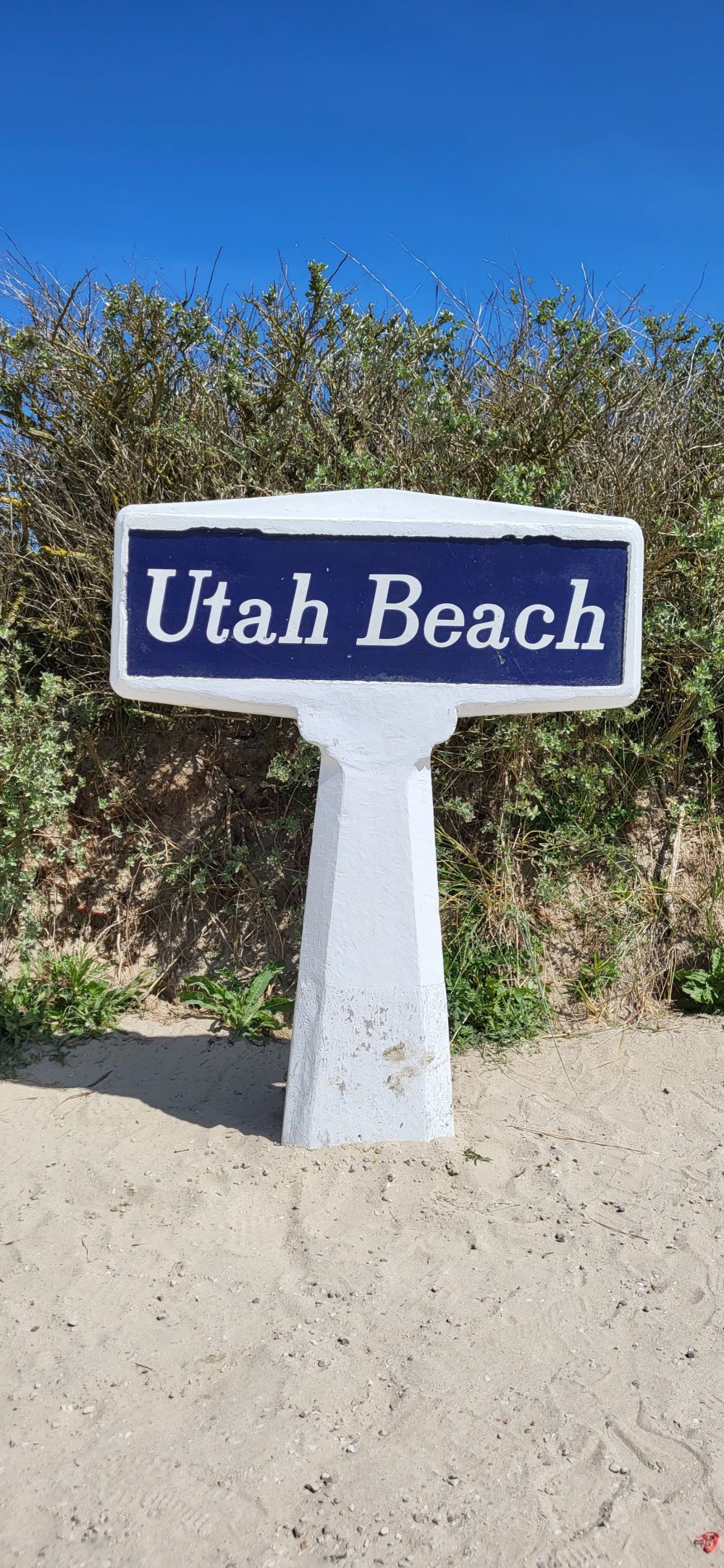 Reiservaring van reiziger Impressive