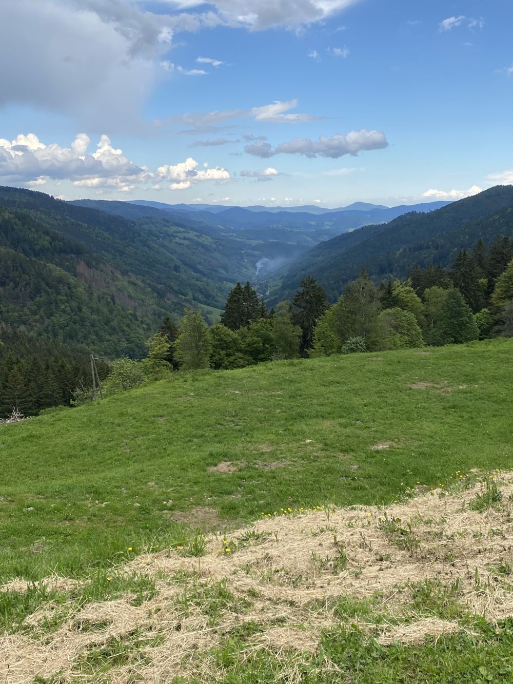 Reiservaring van reiziger Super cozy Vosges trip